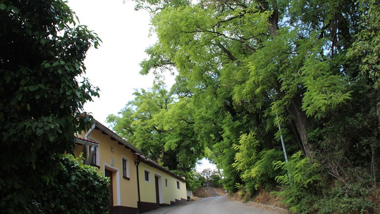 Seitenstraße, © Marktgemeinde Reisenberg Seitenstraße, © Marktgemeinde Reisenberg