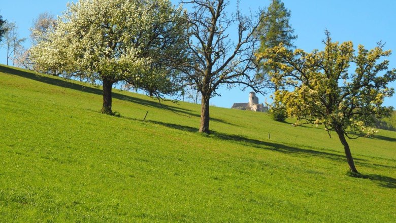 Mit Blick auf die Araburg, © Kaumberg/Doris Radinger Mit Blick auf die Araburg, © Kaumberg/Doris Radinger