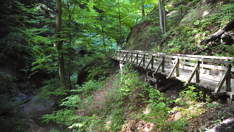 Hagenbachklamm im Eichenhain, © Naturparke Niederösterreich/Robert Herbst Hagenbachklamm im Eichenhain, © Naturparke Niederösterreich/Robert Herbst