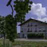 View of the Soosser Winzerhof from the vineyard, © Studeny View of the Soosser Winzerhof from the vineyard, © Studeny