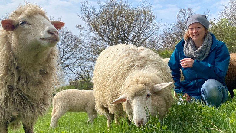 Schaf Erlebnis Guntramsdorf Niederösterreich Nähe Wien, © (c) Karina Pöschl Schaf Erlebnis Guntramsdorf Niederösterreich Nähe Wien, © (c) Karina Pöschl