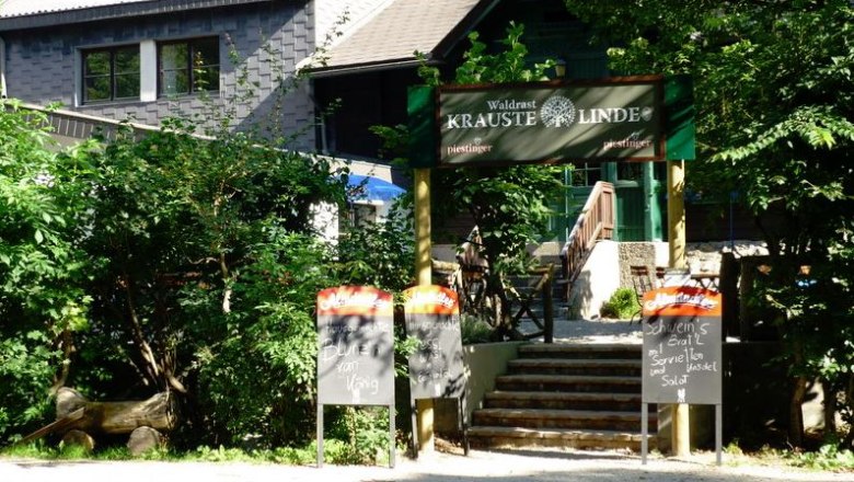 Waldrast Krauste Linde, © Waldrast Krauste Linde Waldrast Krauste Linde, © Waldrast Krauste Linde