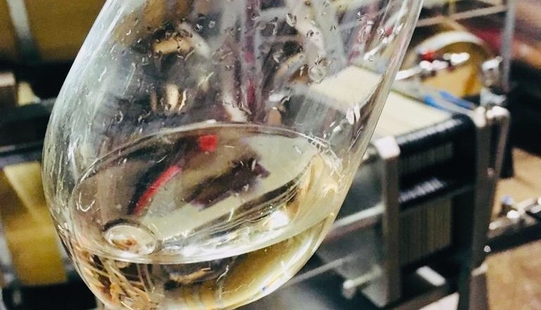 Weingut Hannes Hofer, © Hannes Hofer Weingut Hannes Hofer, © Hannes Hofer