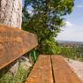 Beethovenwanderweg, © Tourismus Baden Beethovenwanderweg, © Tourismus Baden