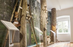 Pechermuseum, © Corinna Pernitsch Pechermuseum, © Corinna Pernitsch