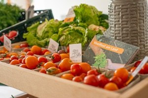 Gemüse, © Thomas Vostandlechner Gemüse, © Thomas Vostandlechner