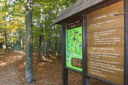 Forest nature trail "Berndorf-Guglzipf", © Stadtgemeinde Berndorf / Christian Husar Forest nature trail with information board in the forest.
