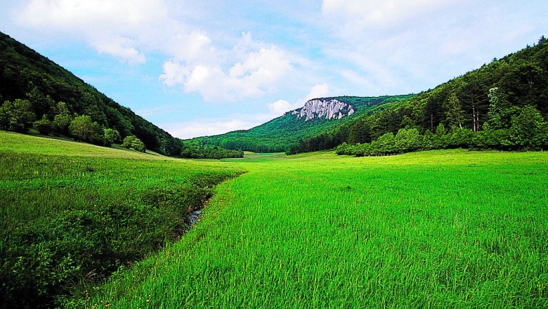 Weissenbach an der Triesting, © Weissenbach an der Triesting Grüne Wiese mit Hügeln und bewaldeten Bergen im Hintergrund unter blauem Himmel.