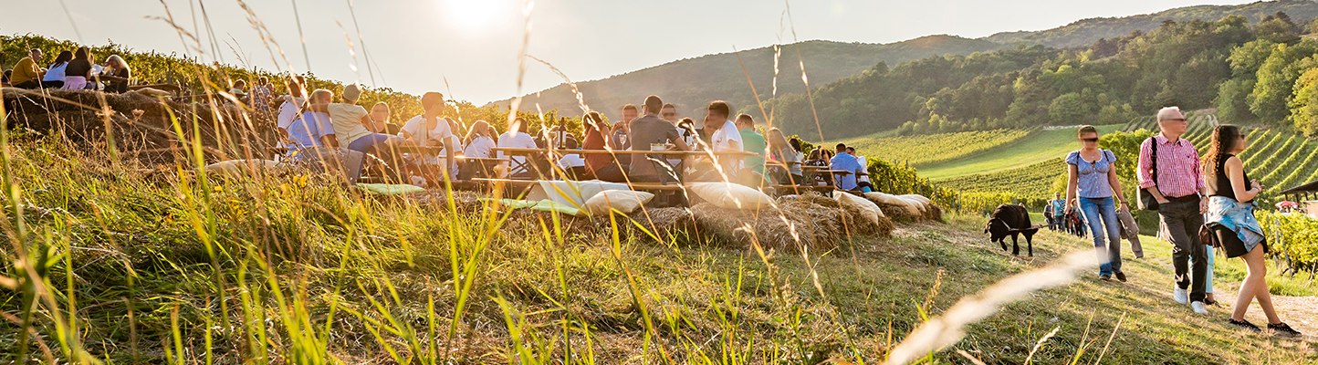 Genussmeile, © Christian Dusek Genussmeile, © Christian Dusek