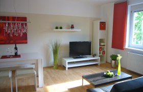 TV, © Anita Rosse TV, © Anita Rosse