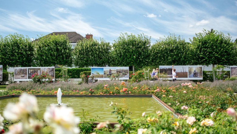 Photo festival at the Rosarium, © Ovidiu Dehelean/Festival La Gacilly-Baden Photo A rose garden with a pond and photo walls in the background.