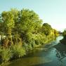 Fluss Schwechat, © Schwertfuehrer Christian Ein Fluss mit klarem Wasser fließt durch eine grüne, bewachsene Landschaft mit Bäumen und einem Haus am Ufer.