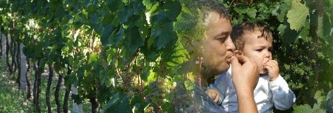 Banner, © Weinbau Seitz Ein Mann und ein Kind stehen in einem Weinberg und essen Trauben.