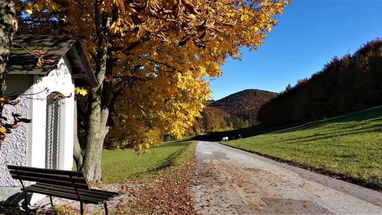 Kapelle auf der Straße zum Araburgparkplatz, © Kaumberg/Morgner Michael Kapelle auf der Straße zum Araburgparkplatz, © Kaumberg/Morgner Michael