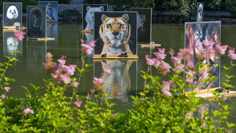 Festival La Gacilly-Baden Photo, © Lois Lammerhuber Festival La Gacilly-Baden Photo, © Lois Lammerhuber