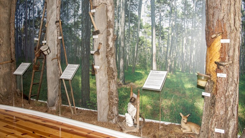 Pechermuseum, © Corinna Pernitsch Pechermuseum, © Corinna Pernitsch