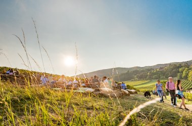 Genussmeile 2026, © Christian Dusek Genussmeile 2026, © Christian Dusek