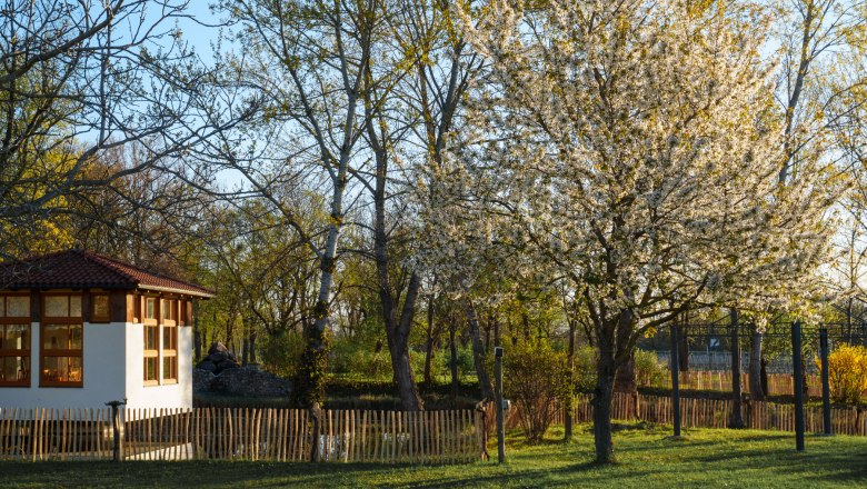 202604_Katharina Wocelka_ Schlafgut_Web-6, &copy; Katharina Wocelka