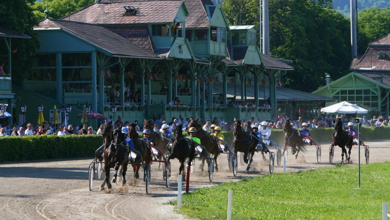 Baden Trotting Club, © Badener Trabrennverein