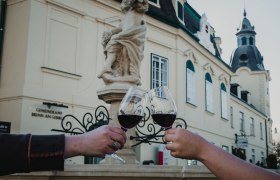 adrian-almasan-174_l, &copy; Weinland Thermenregion Adrian Almasin