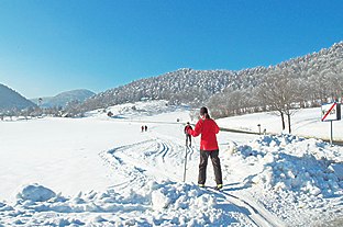 Langl&auml;ufer auf einer verschneiten Loipe in einer winterlichen Landschaft.