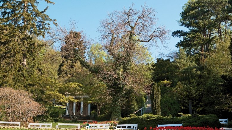 Kurpark Baden in spring with trees, flowerbeds and benches.