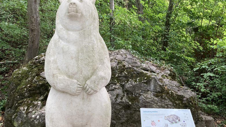 Tropfsteinhöhle Alland, © Marktgemeinde Alland