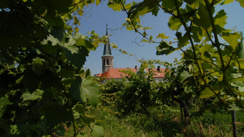 Weinreise, &copy; Weinreise - Winzerhotel Gumpoldskirchen