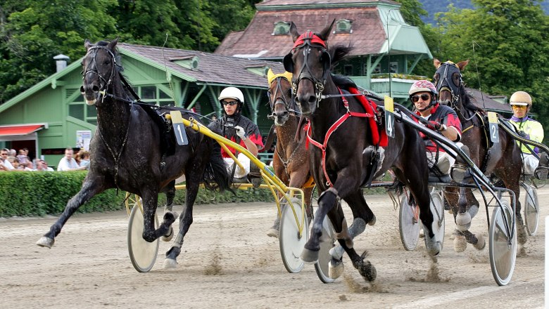 Baden Trotting Club, © Badener Trabrennverein