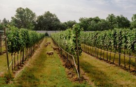 Johanneshof_Reinisch_Julius_Hirtzberger_B4065971, &copy; Julius Hirtzberger