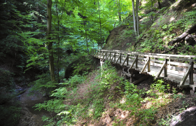 Hagenbachklamm im Eichenhain, &copy; Naturparke Nieder&ouml;sterreich/Robert Herbst