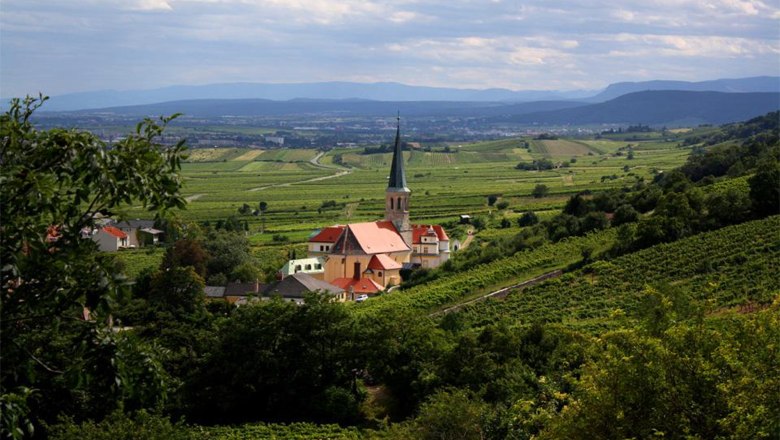Gumpoldskirchen, &copy; Tourismusb&uuml;ro Gumpoldskirchen/Architekturbox