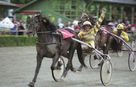 Badener Trabrennverein, &copy; Badener Trabrennverein