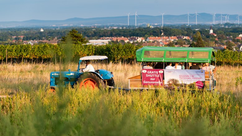 Shuttle Genussmeile, © Wienerwald Tourismus/Christian Dusek