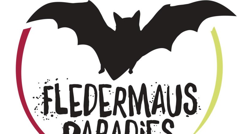Fledermaus, &copy; Marktgemeinde Pfaffst&auml;tten