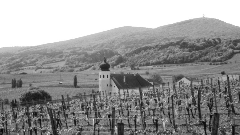 Geschichte des Weinbaus, © Wienerwald Tourismus/Gabritsch