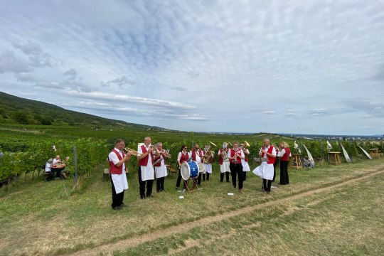 Zahlreiche Musikvereine und Musikanten sorgten für gute Stimmung, © Wienerwald Tourismus