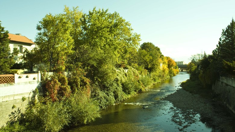 Ein Fluss mit klarem Wasser flie&szlig;t durch eine gr&uuml;ne, bewachsene Landschaft mit B&auml;umen und einem Haus am Ufer.
