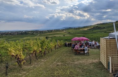 Genussmeile mit Blick auf Abschnitt Pfaffstätten, © Wienerwald Tourismus