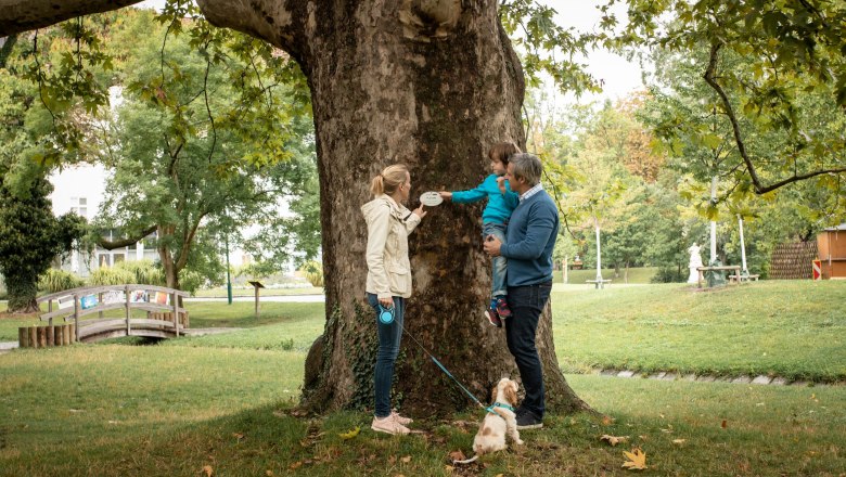 Bad Vöslau Castle Park, © Silke Ebster