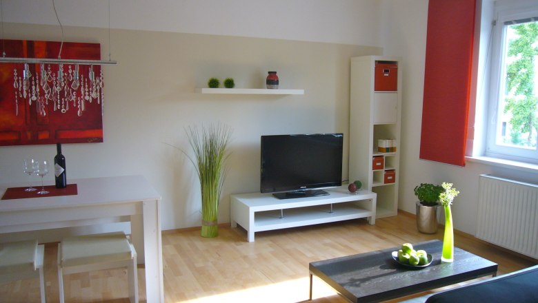 TV, © Anita Rosse TV, © Anita Rosse