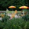 Garten mit gelben Liegestühlen und Sonnenschirmen, umgeben von Blumen und Bäumen.