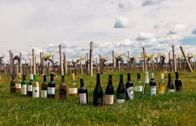 Sortensieger Thermenregion, © Thermenregion DAC/Adrian Almasan