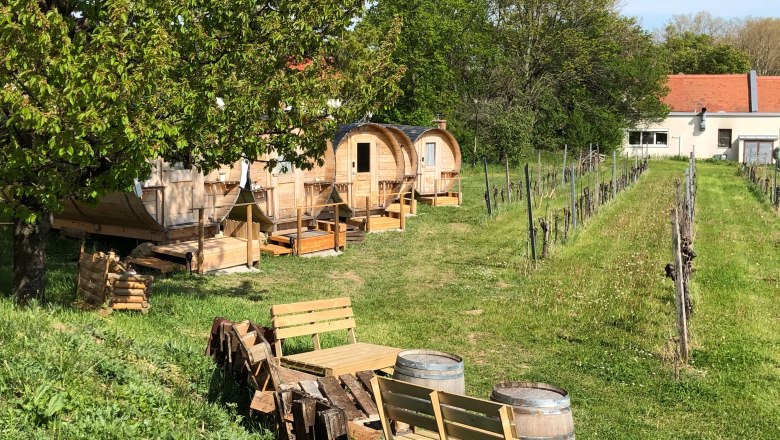 In the middle of the vineyard, &copy; Peter Rohm