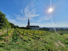 WineWalkingTrail Gumpoldskirchen, &copy; Wienerwald Tourismus GmbH