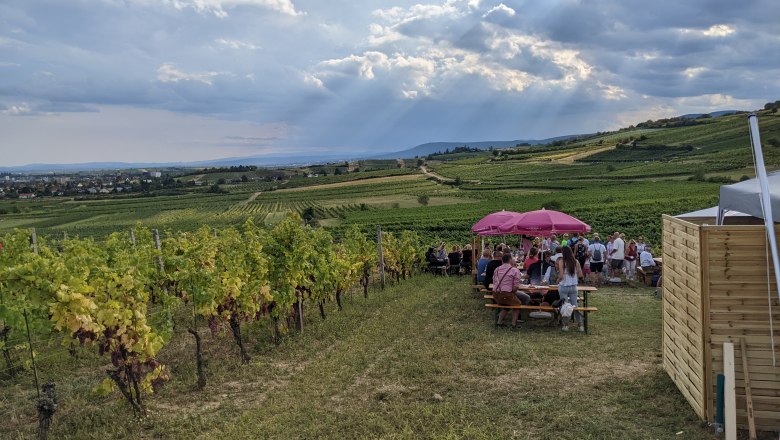 Genussmeile mit Blick auf Abschnitt Pfaffstätten, © Wienerwald Tourismus