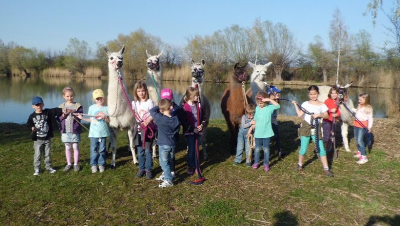 Gruppe von Kindern mit Lamas an einem Seeufer.
