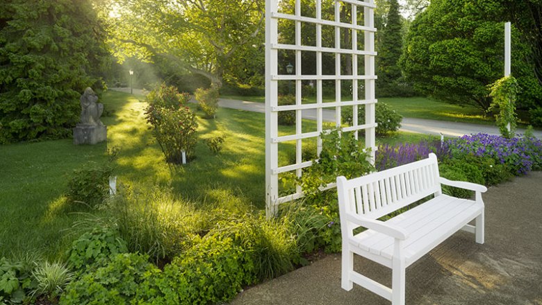White bench in the rose garden with trellis and plants in the sunlight.