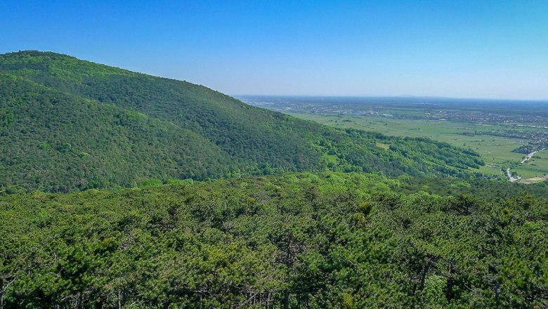 Wienerwald, &copy; Gottfried Steiner