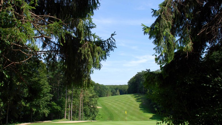Golfplatz mit grünem Fairway und Fahne, umgeben von Bäumen.